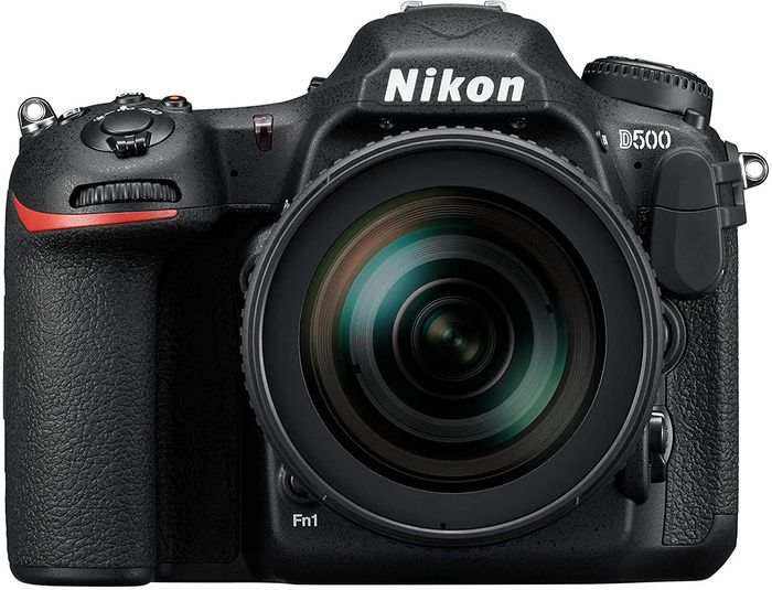 10 Best Macro Cameras in 2022 (Updated Monthly)