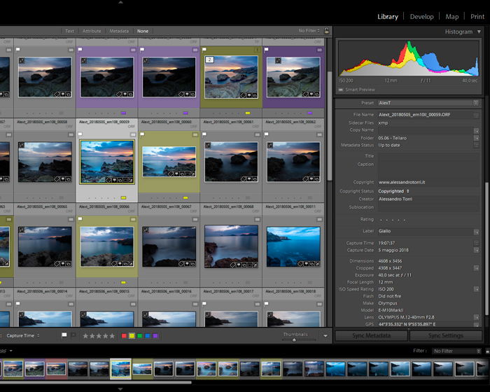 Screenshot of Lightroom medadata of images