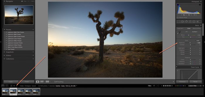 Editing a tree in a desert in Adobe Lightroom for time-lapse photography