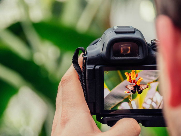 macro shot camera