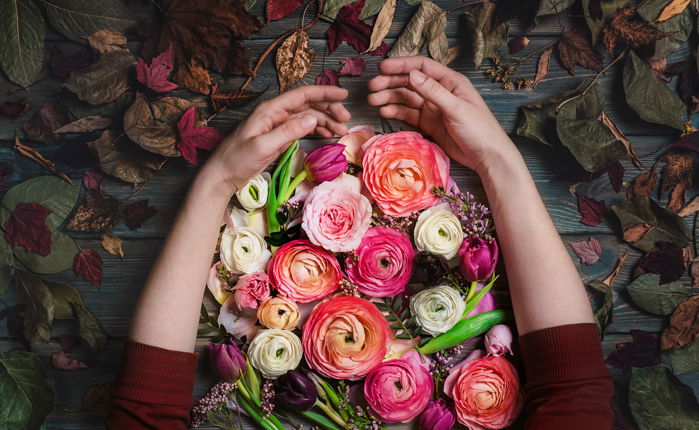 Overhead shot of a persons arms holding flowers on dark background - still life photography ideas.