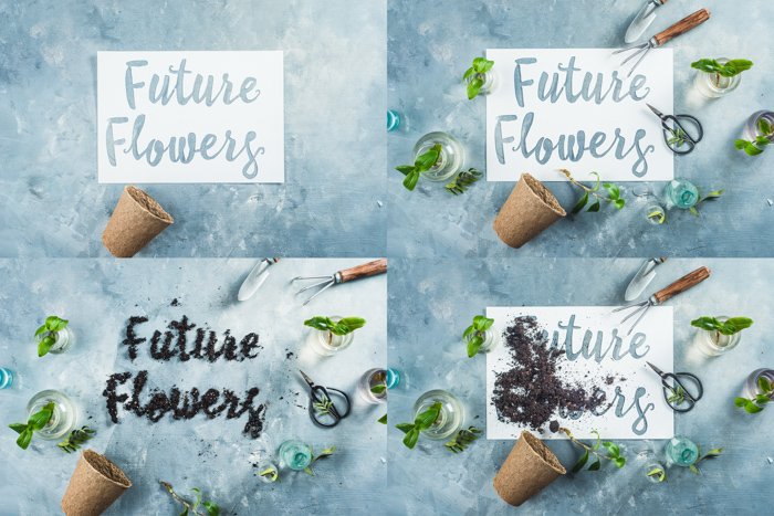 Steps of a still life photography idea with "future flowers" text and various arrangements of a flower pot and flowers 