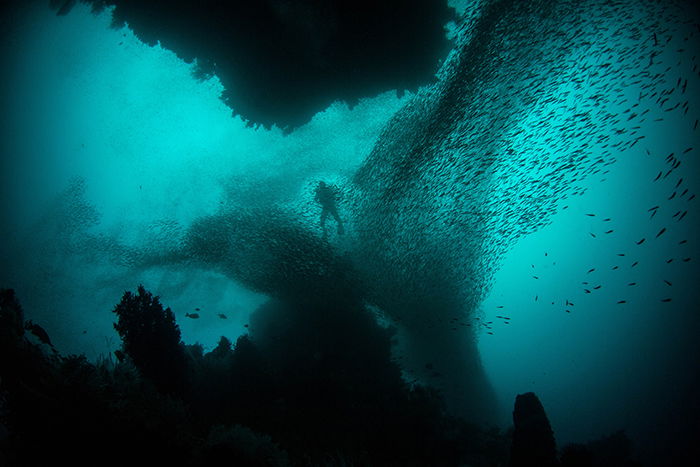 Stunning underwater surreal photography by Alexandra Rose