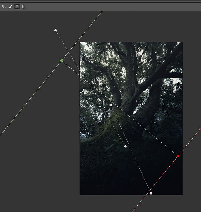 Screenshots of post process tree images in Photoshop