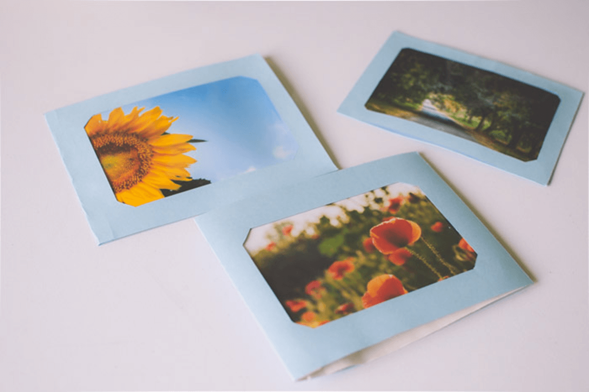 A photo of three photo cards on white background as an idea of what to do with photos