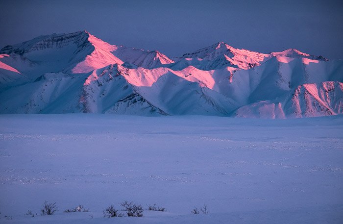 夕阳下，白雪覆盖的山丘泛着粉红色的光