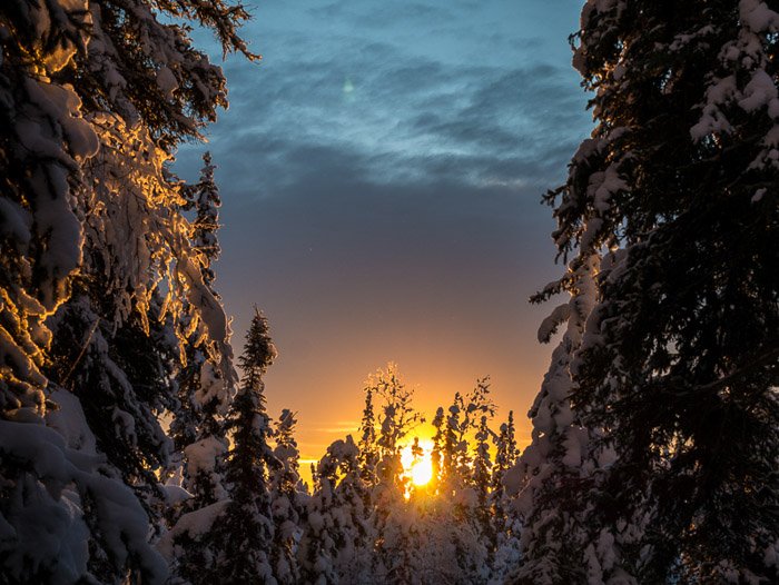 Stunning winter photography shot of snow covered forest at sunset.