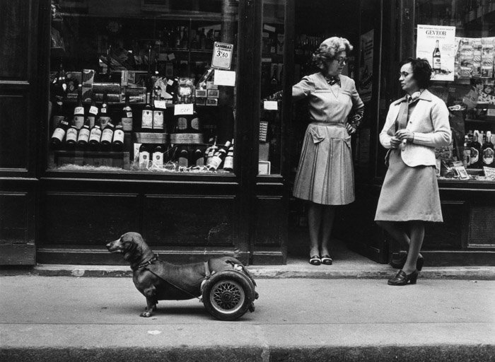 Robert Doisneau humourous street poto of a littel dog with wheels supporting his hind legs, beside two women chatting outside a shop front - famous photographers 