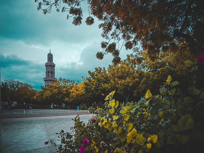 Street Photography shot with bushes in the foreground - using aspect ratio 4:3