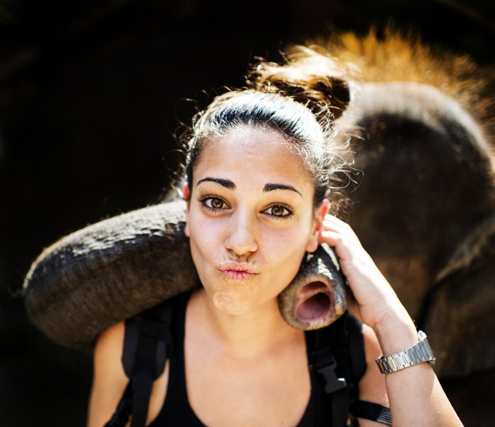 Playful portrait of a girl with an elephant against a black background for photography 