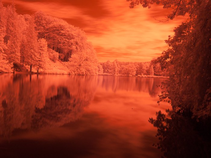Bright orange tinted photo of a pond in a popular family park near Brussels.