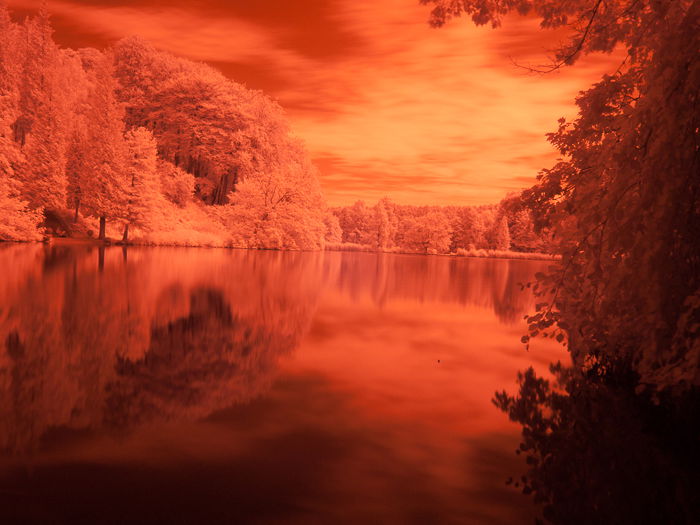 Bright orange tinted photo of a pond in a popular family park near Brussels.