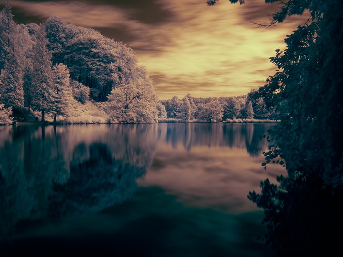 The final image of the edited infrared photography of a pond in Belgium