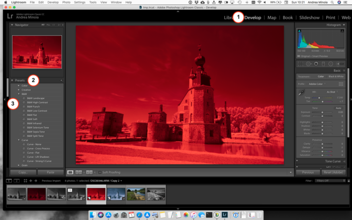 Screenshot of an infrared image in the preset menu in Lightroom Develop Module.