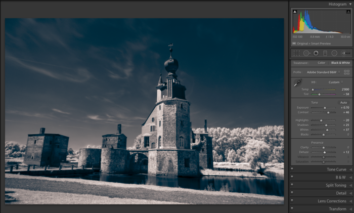 Screenshot of editing infrared photography