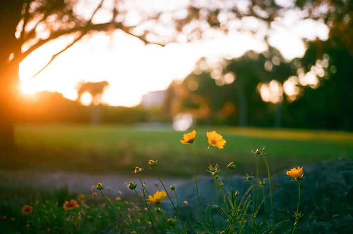 12 Easy Ways To Improve Your Nature Photography Skills