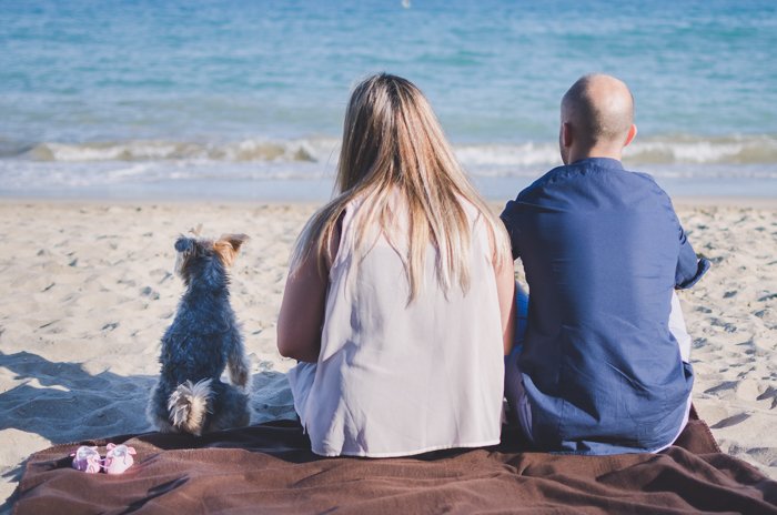 A calm beach photo of a couple sitting and a small dog on the sand and gazing into the sea