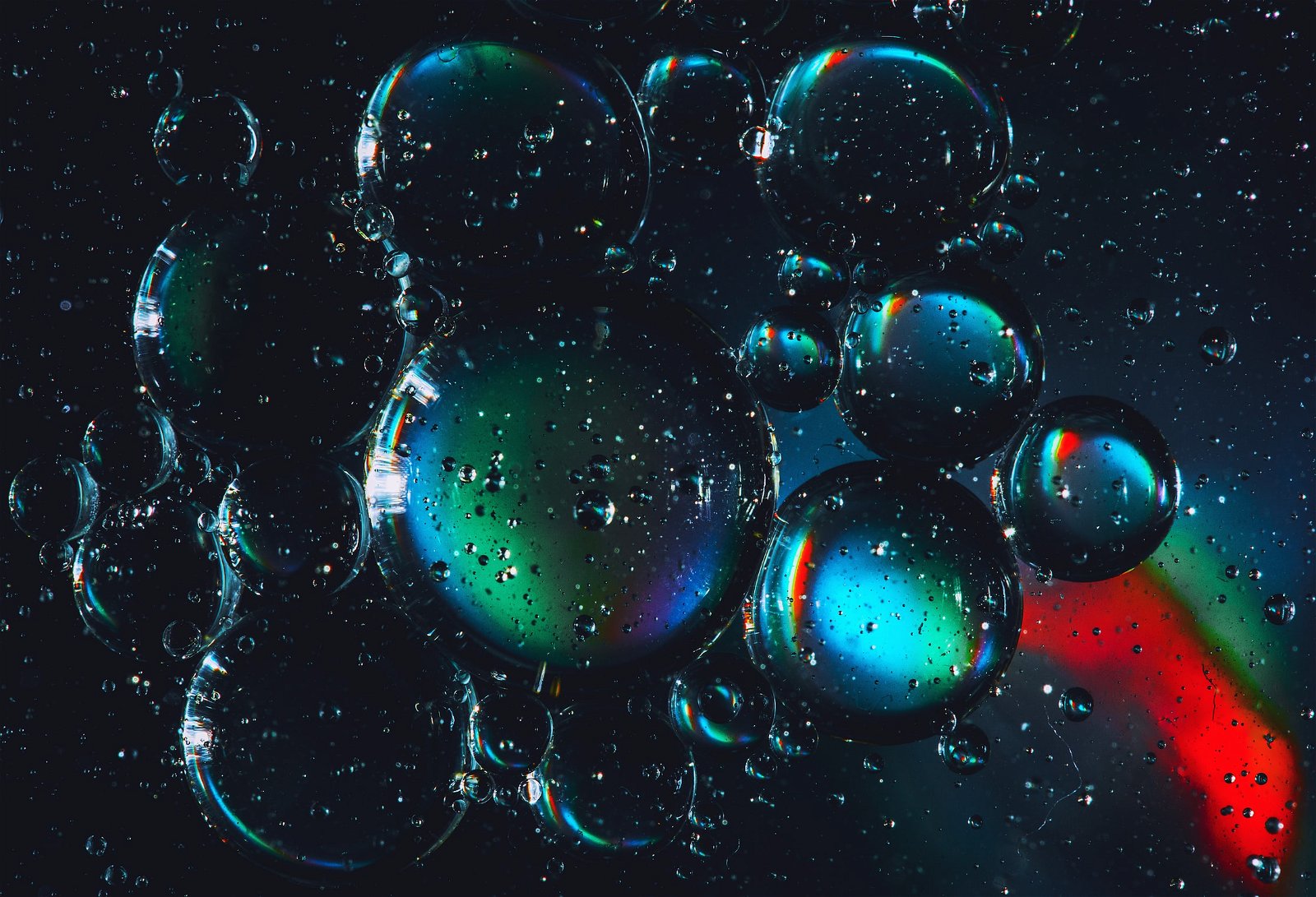 macro photo of bubbles
