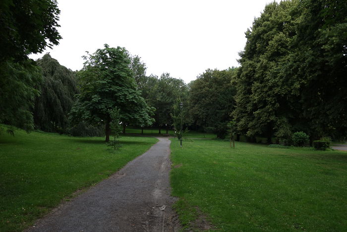 A green park on an overcast heavy day, suitable for using the overcast-5.6 rule.