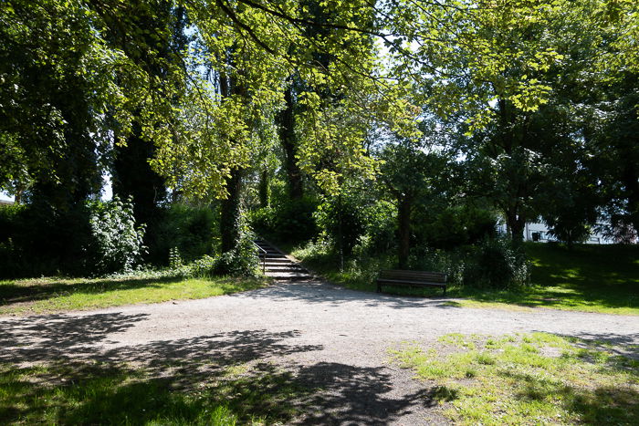 Leafy trees casting shadows over a bench, defying the sunny-16 rule