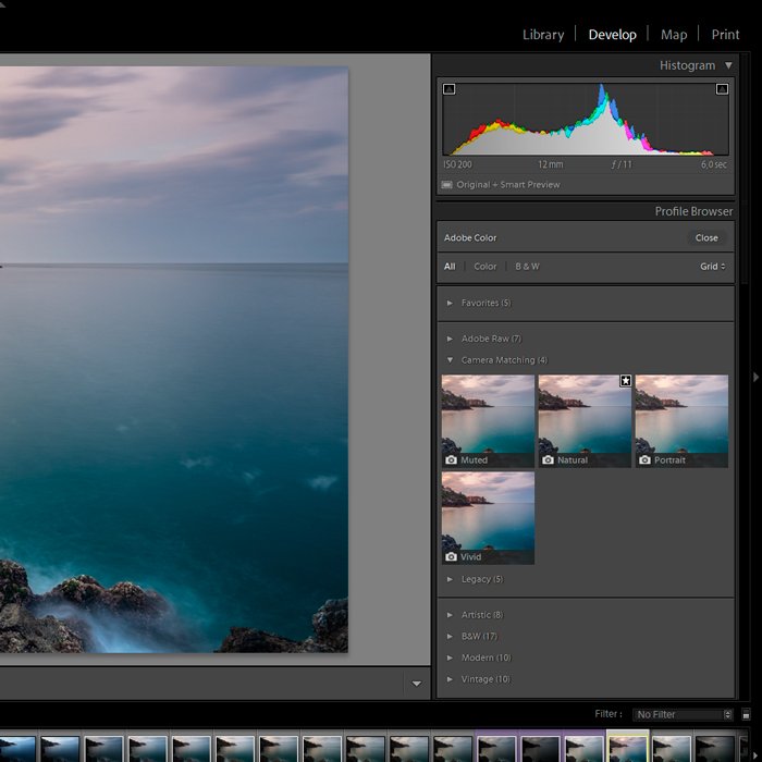 Screenshot of new camera Profiles in Adobe Lightroom for editing travel photography. 