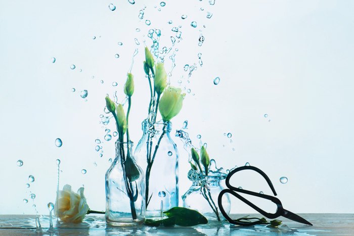 a creative food photography set up with flower vases and water splashes on white background