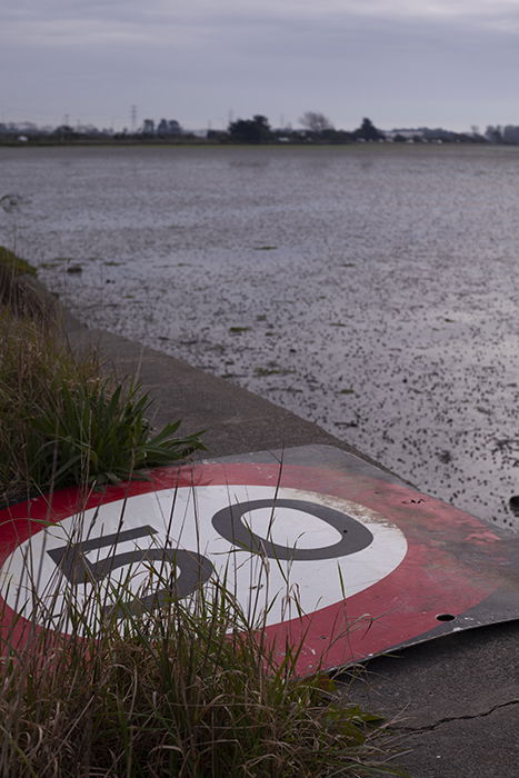 The tired road sign, straight out of camera in color. 50mm, ISO100, 1/320sec, f/9.