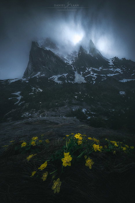 Dark atmospheric rocky mountain photo with yellow flowers in the foreground.