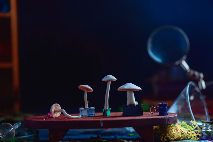 Small mushrooms clipped onto a tiny red table for a still life smoke photography shoot