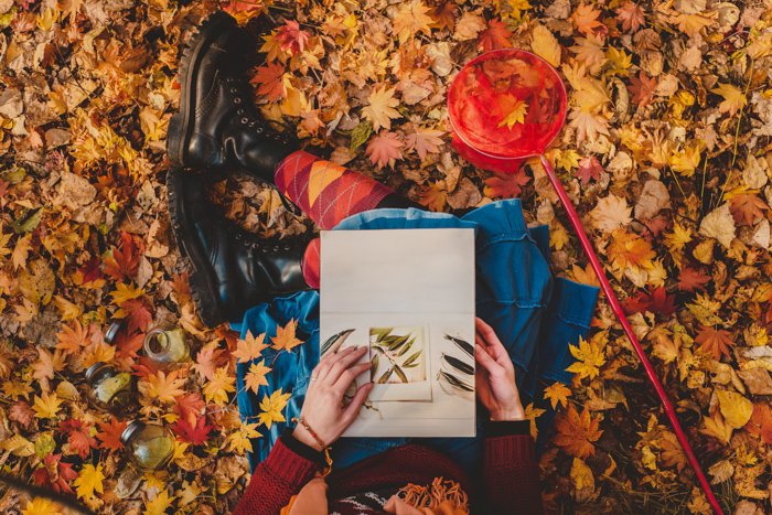 A draemy overhead shot of a person reading a book white sitting among autumn leaves