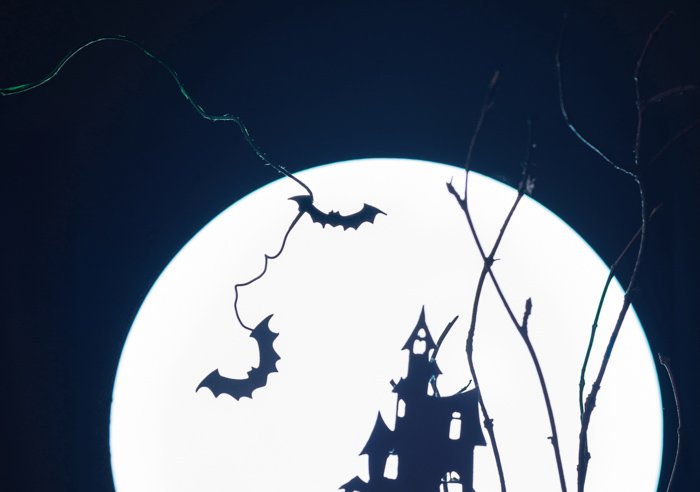 Close up of spooky Halloween silhouettes for a still life photo