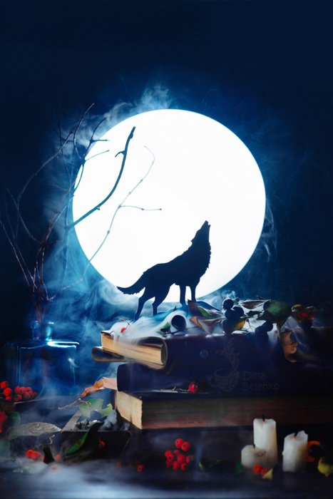 Atmospheric Halloween still life featuring the silhouette of a wolf howling in front of a full moon