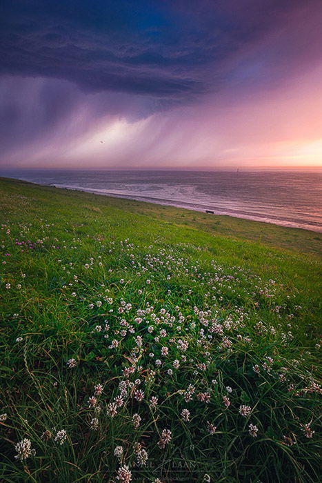 Lucious coastal landscape at evening time