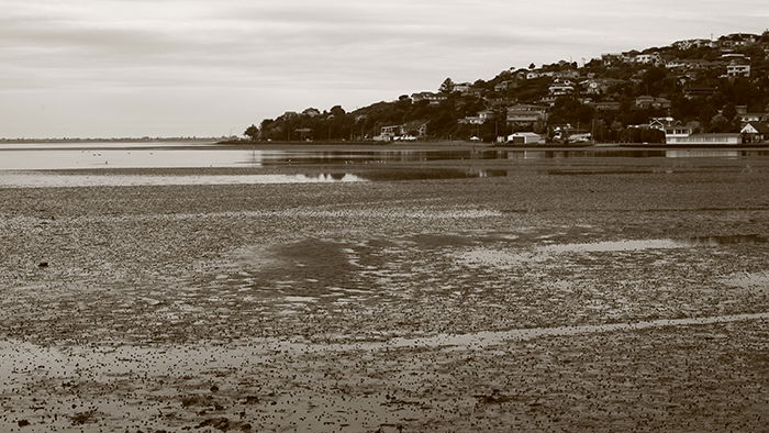 A sepia shot of an estuary - best camera settings for black and white photography