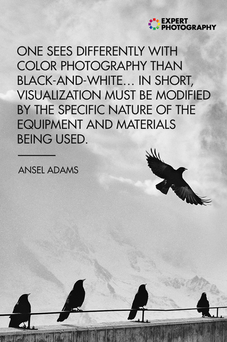A photo of birds perched on a wall overlayed with black and white photography quote from Ansel Adams