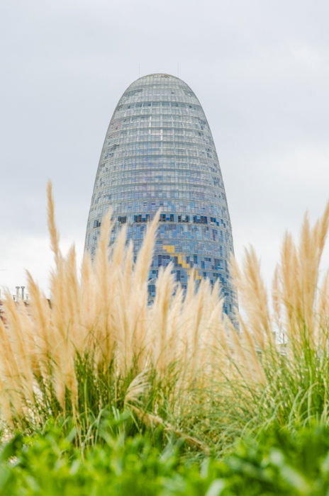 A low angle shot of a dome shaped multi windowed building