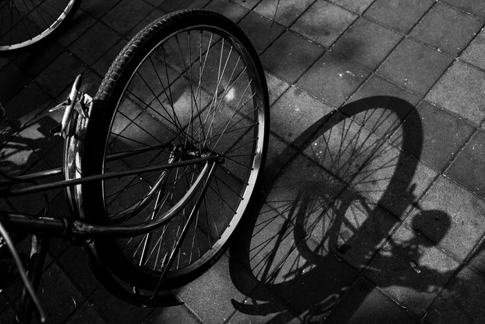 a black and white photo of a bicycle wheel and its shadow