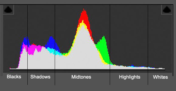 A camera histogram