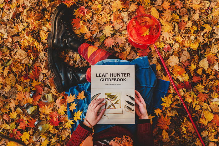 view from the top. girl sitting in a pile of fallen orange leaves in autumn, a red butterfly net beside her, holding a book: Leaf Hunter Guidebook