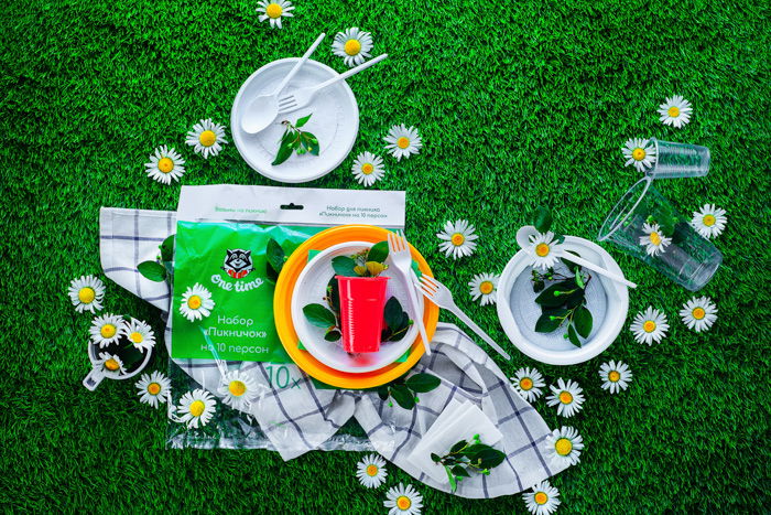 flatlay styled picnic themed photo. paper plates and utensils on deep green grass, daisies scattered around, product photo background