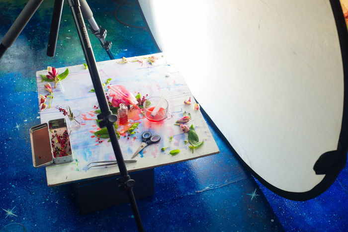 reflector and tripod set up. flatlay arranged on white photo background surface, several pink petals and green leaves