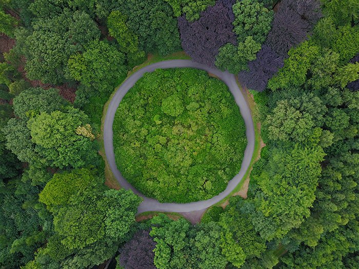 Birds eye view of a roundabout in the forest shot with a drone