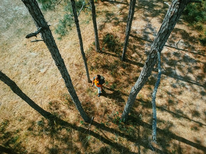 走通过森林的一个人的顶上的射击 - 阴影摄影