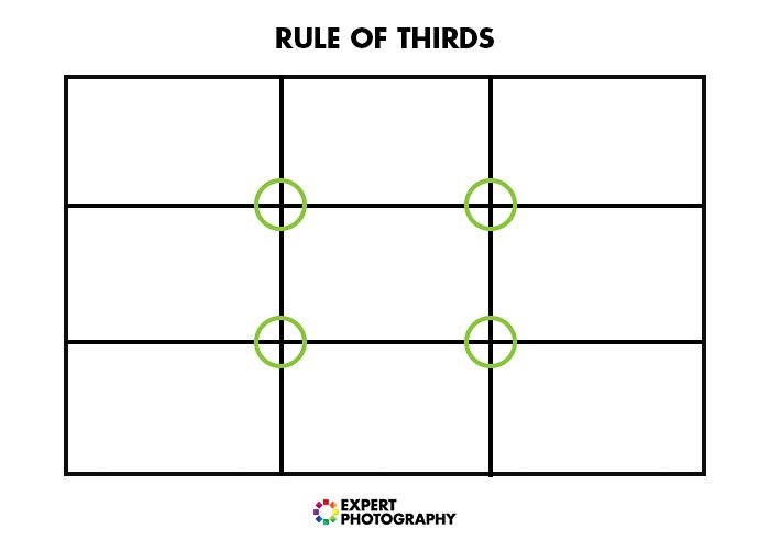 A diagram explaining the rule of thirds in photography composition for better food photos