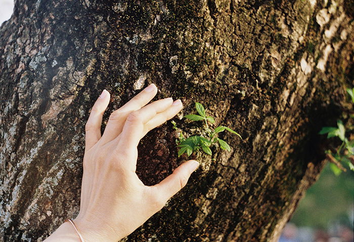 A persons hand rubbing a rough tree bark - texture photography tips