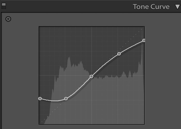 the tone curve diagram tool in Lightroom