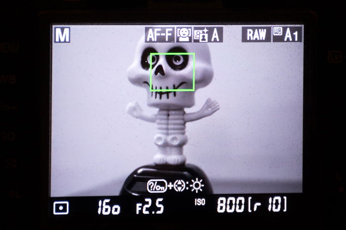 Close up of adjusting autofocus modes on a camera while focusing on a plastic figure of a skeleton