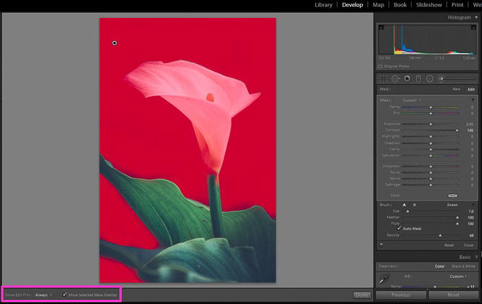 Screenshot of adjusting contrast in Lightroom