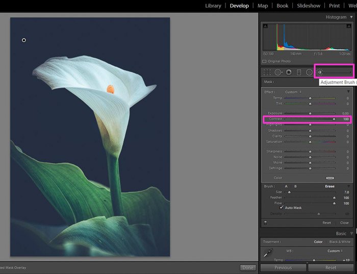 Screenshot of using the contrast brush in Lightroom for contrast in photography