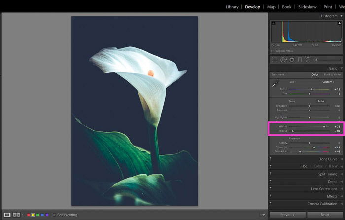 Screenshot of adjusting contrast in Lightroom